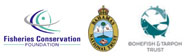 BFFA Logos