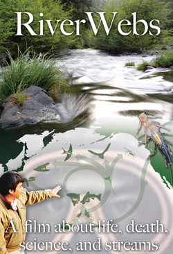 riverwebs poster photo