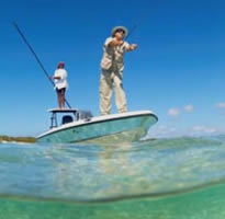 Bahamian Guide Photo