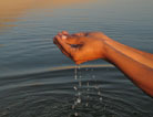 helping hands