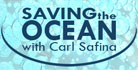 save ocean logo
